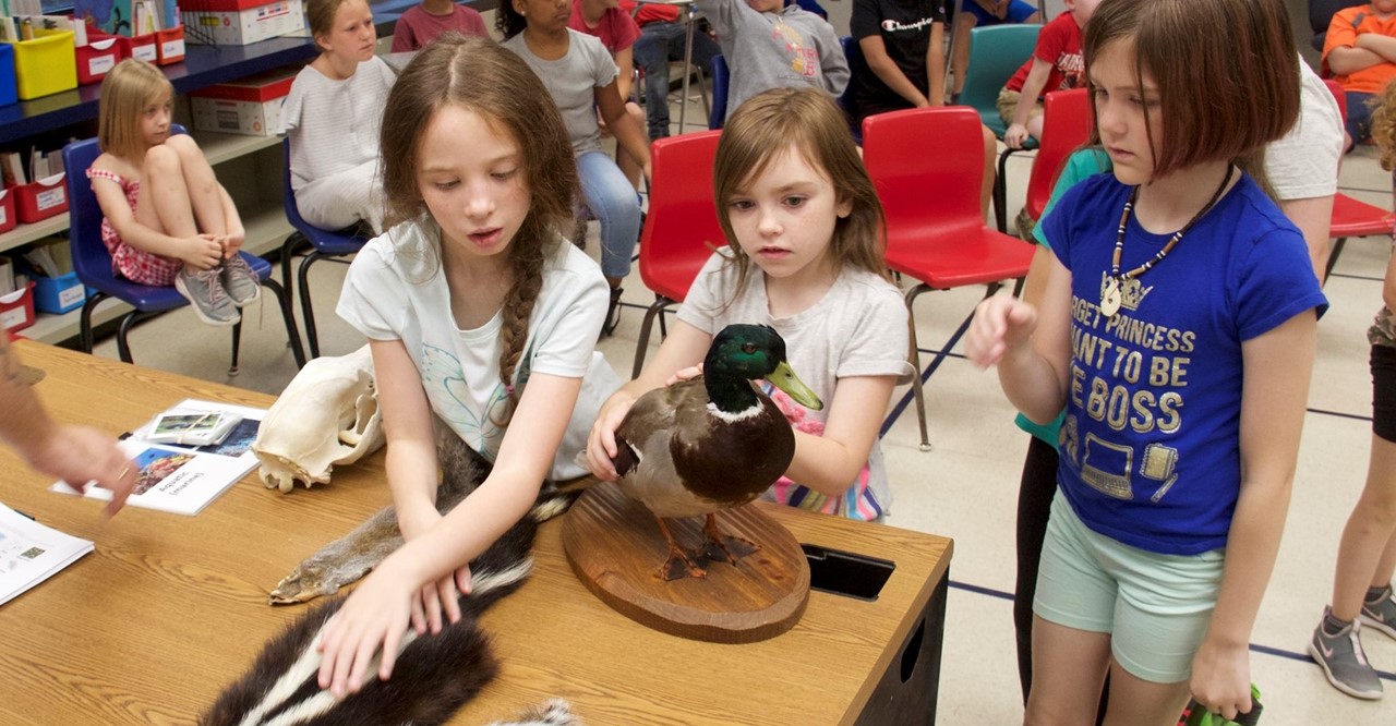 students touch animal exhibits
